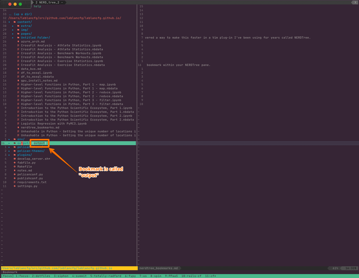 Screenshot of NERDTree bookmark called "output"